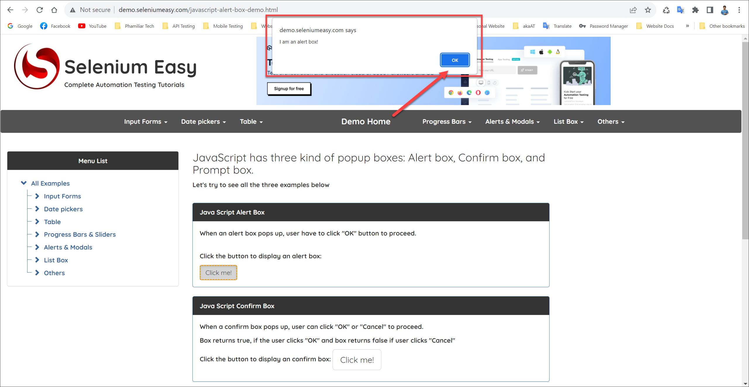 [Selenium Java] Bài 13: Cách xử lý Alert, Popup Window và iFrame | Anh Tester